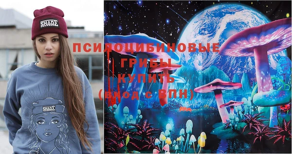 прущие грибы Алексеевка