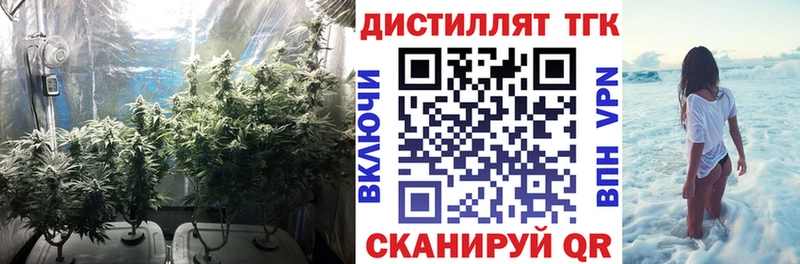 ТГК THC oil  купить наркоту  Ставрополь 