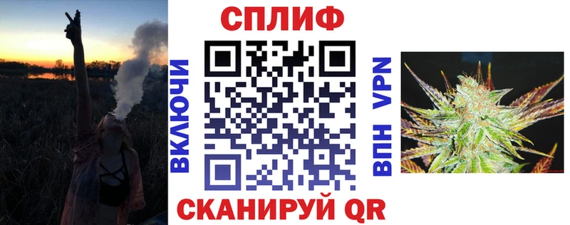 Конопля сатива  Ставрополь 